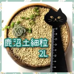 2026年最新】植木_等の人気アイテム - メルカリ