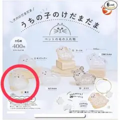 うちの子のけだまだま　犬　柴犬