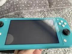 Nintendo Switch Lite ケース付き