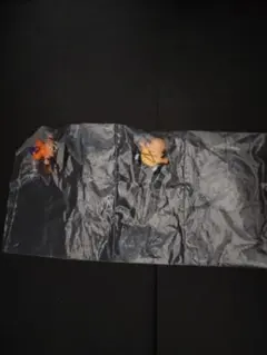 NASRI様 リクエスト 2点 まとめ商品