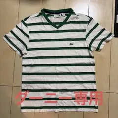 LACOSTE ボーダー Vネック Tシャツ