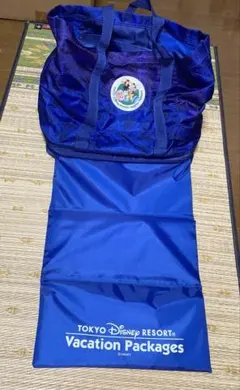 東京ディズニーリゾート 30周年バケーションパッケージ バッグ
