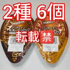 アイスクリームに！バンホーテン チョコレートシロップ ポーション 30g