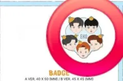2026年最新】exo サインボール ベッキョンの人気アイテム - メルカリ