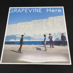 2026年最新】grapevine レコードの人気アイテム - メルカリ
