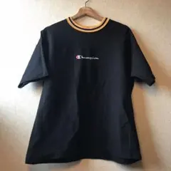 チャンピオン　ヘビーウェイトTシャツ