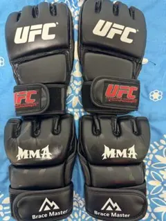 Item thumbnail for item 1d178755-bfeb-425c-8c8f-2f5b1ab37309