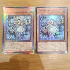 白き森のリゼット　2枚