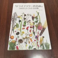 Item thumbnail for item e6b6f3fe-fd6d-4776-b83e-38e24bb40527