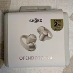 Shokz OpenDots One ワイヤレスイヤホン 本体 グレーのサムネイル
