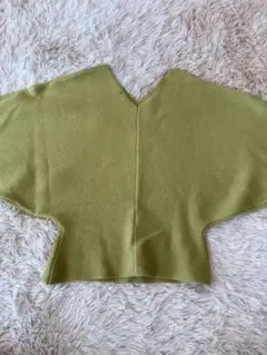 ZARA Vネック ニット