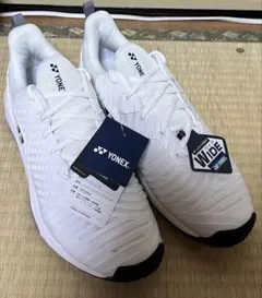 Item thumbnail for item c28d0a5b-85ad-4764-85c5-13901141b046