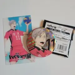 ハイキュー　灰羽リエーフ　セット