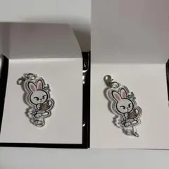 Stray Kids EXHIBITION連結アクリルキーホルダー リービット