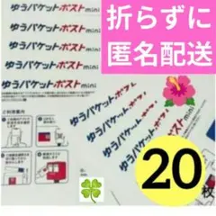 【20枚】即発送◎★匿名配送★ゆうパケットポスト mini ミニ 専用封筒22のサムネイル
