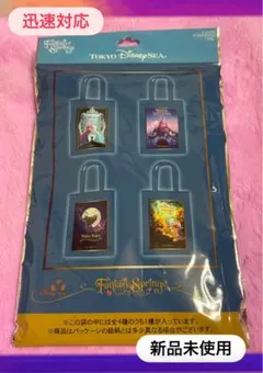 2025年最新】ディズニーリゾート トートバッグ ファンタジー