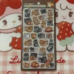 【正規品】ボンボンドロップシール 柴犬 新和柄