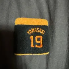 Item thumbnail for item 57b01a2c-30d3-4d85-b90f-4073212ee450