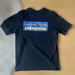 パタゴニア　ポケットTシャツ　Sサイズ