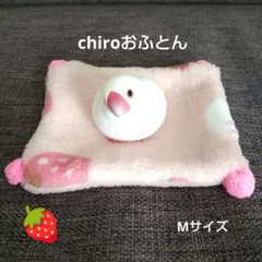 Item thumbnail for item 40cf9c48-89f3-401f-bb30-b75d716e1ba1