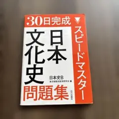 30日完成スピードマスター日本文化史問題集日本史B
