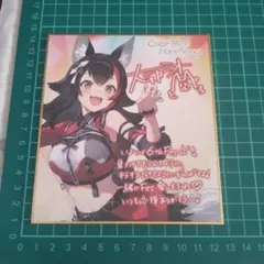 猫飯店様 リクエスト 2点 まとめ商品