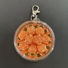 ペンライト型キーホルダー 向井康二さん オレンジ SnowMan