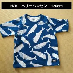HELly Hansen クジラ柄 Tシャツ 120