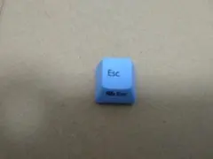 Item thumbnail for item 2e24dfaf-ee36-4d77-8b2d-a544cc36a2cf