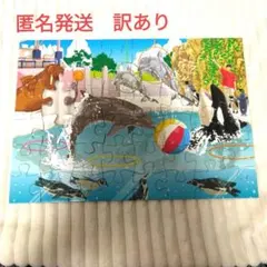 くもん　ジグソーパズル　わくわく動物パラダイス　48ピース　ステップ3　訳ありのサムネイル