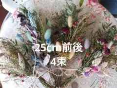 B ドライフラワー 25cm前後 4束