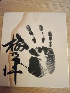 手形色紙 　栃乃洋　大相撲のサムネイル