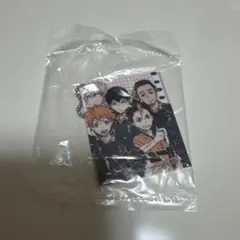 ハイキュー！！ ハイキュー キーホルダー 烏野高校