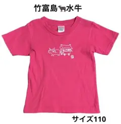 サイズ110 ⑦⑨ 美品　竹富島　水牛　ピンク