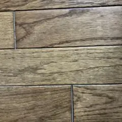 お試しです