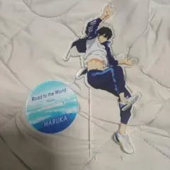 Free! 七瀬遙 スタンドアクリルチャーム アクスタ Free! 七瀬遙 スタンドアクリルチャーム アクスタ Amazon.co.jp: Free