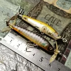 Item thumbnail for item 14318237-2b4b-412b-8c5b-067794ea0788