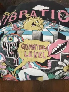 ZARA グラフィックTシャツ サンバイブレーション