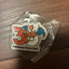 ポケモン 30周年記念 メタルチャームマスコット リザードン