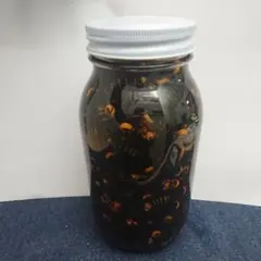 2025年最新】スズメバチ焼酎漬けの人気アイテム - メルカリ