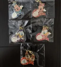 東京ディズニーランド ジャングルカーニバル 35周年チャーム