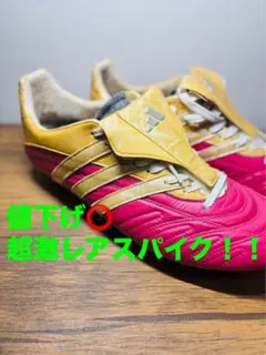 最終値下げ！　新品未使用　パティーク如来　TRX HG 26.0 最終値下げ！ 新品未使用 パティーク如来 TRX HG 26.0 - メルカリ