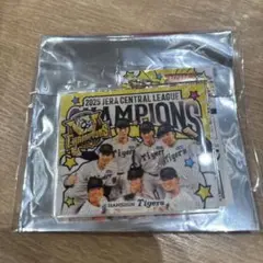阪神タイガース シークレットアクリルキーホルダー 佐藤 伊藤 村上 石井 中野