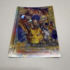 ドラゴンクエストモンスターバトルロードⅡ SPカード 導かれし者たち