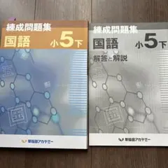 2026年最新】早稲アカ 錬成 小5の人気アイテム - メルカリ