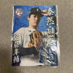 西武ライオンズ涌井秀章投手クリアファイル2枚セット - メルカリ