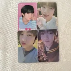 nct wish songbird steady wishful サクヤ トレカ