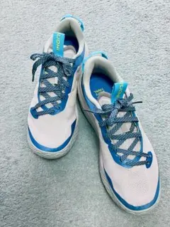 値下げ】KARHU IKONI TRAIL 1.0 28.5cm - メルカリ