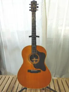 2026年最新】スタッフォード アコースティックギターの人気アイテム