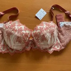 AMPHIブラジャーD70のサムネイル